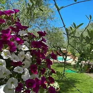 agriturismo-le-dolci-colline-dabruzzo.it-tuscanyhotel.com/